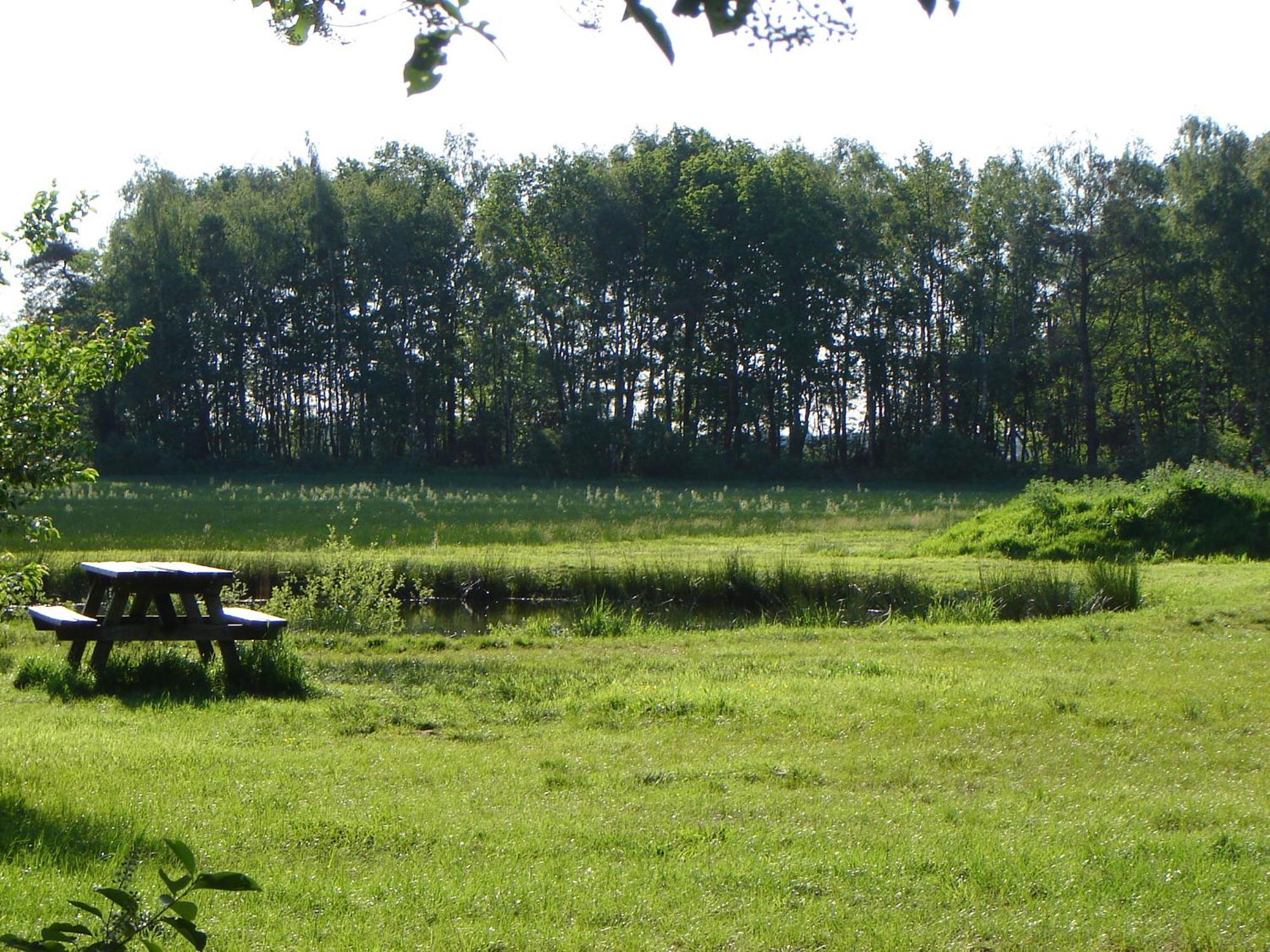 Bed En Breakfast De Boksloot Ravenswoud Kültér fotó