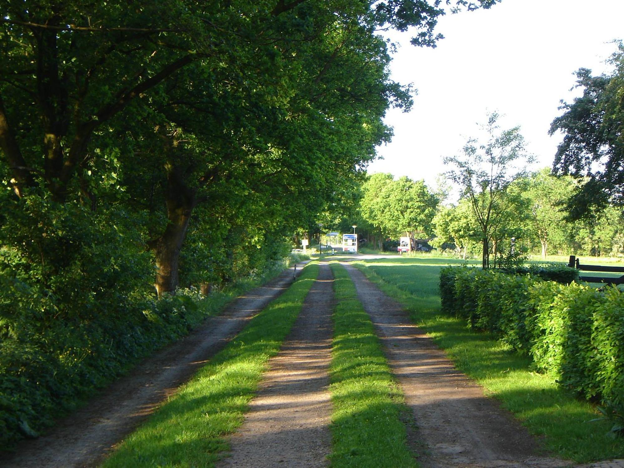 Bed En Breakfast De Boksloot Ravenswoud Kültér fotó